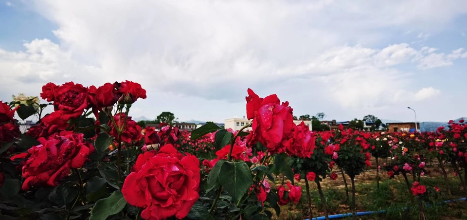 oV-hISshDXlrKx9AMvbv7d6oTRm-Vg_B4NDB7RkeAShLJTpTXb0ZucaUYXksIsWc