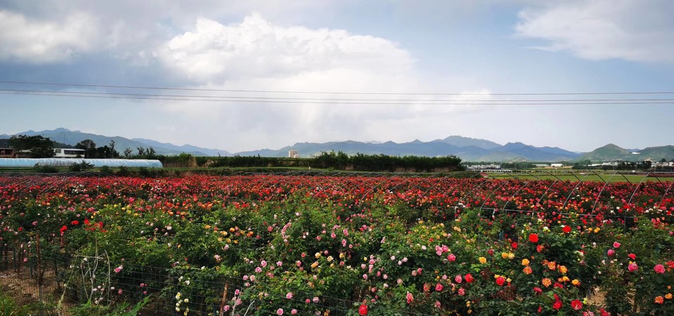 oV-hISshDXlrKx9AMvbv7ejHGrr1CZRHoUkOGBeNii7bRyrUzxQkBoPETkCGkums