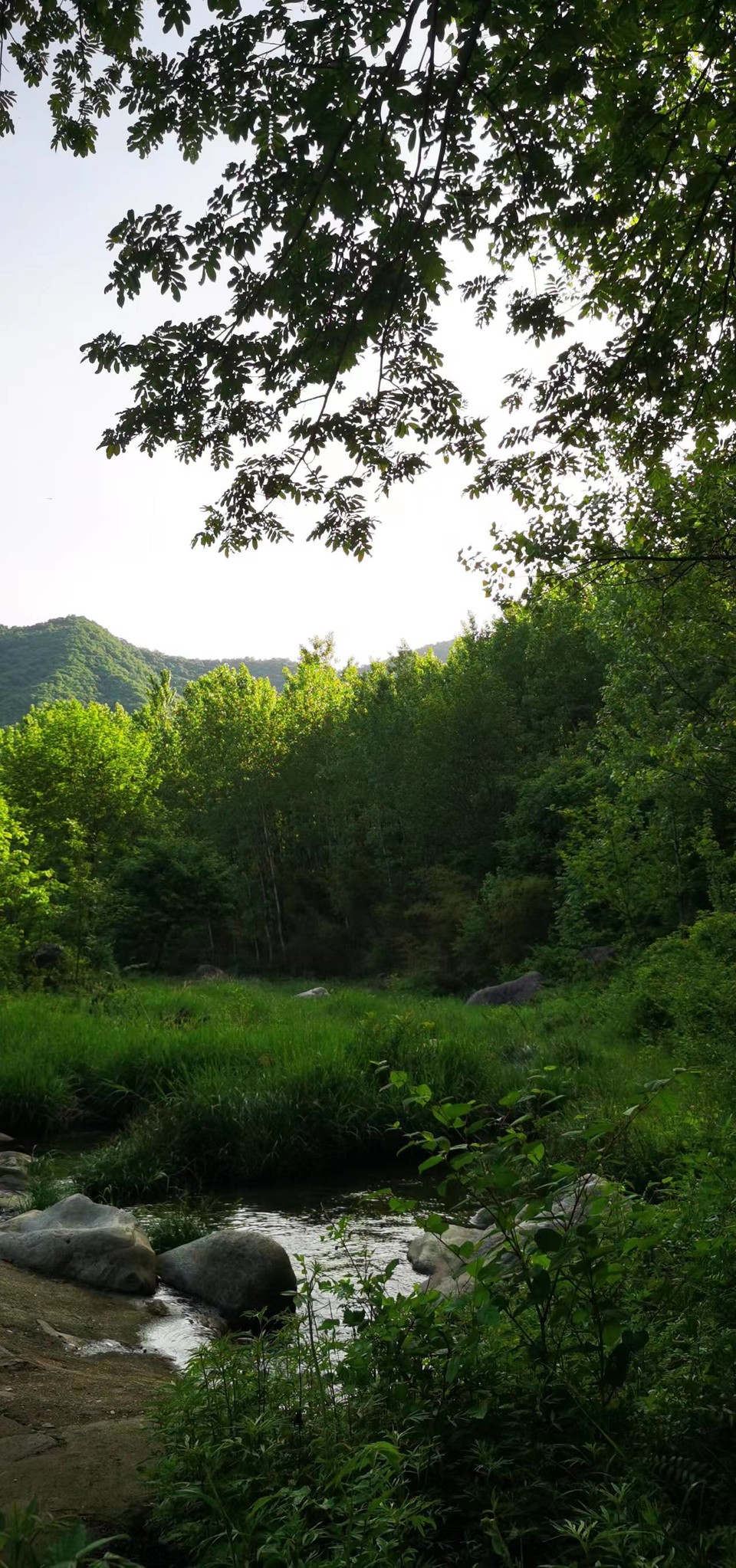 oV-hISshDXlrKx9AMvbv7Q__l-Nl9FlrVQYcCS2N6lkeYMjfA6z4XfNYbzdtXOWJ