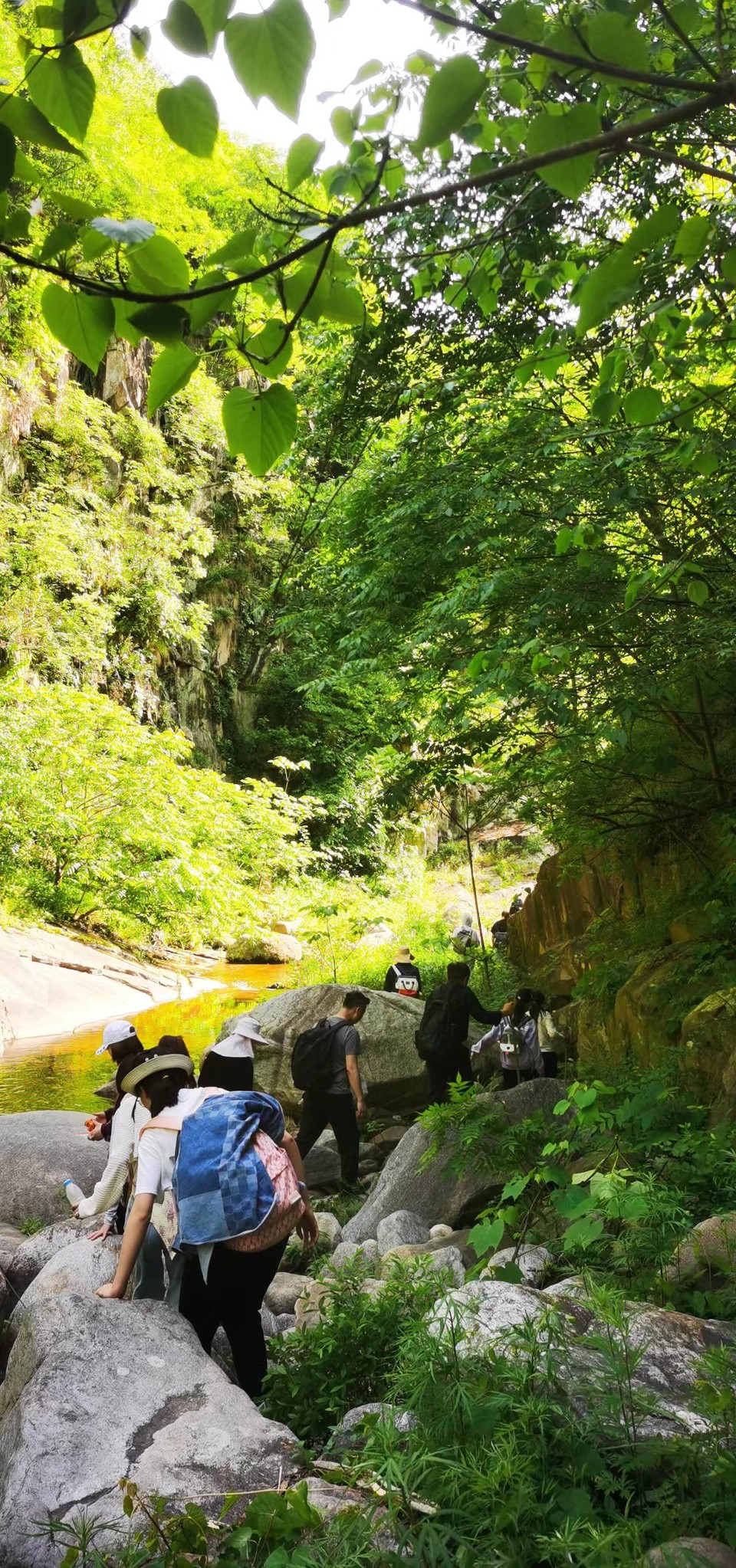 oV-hISshDXlrKx9AMvbv7d17S__resbAp-IwSwIBZNgb6txb0vGdrj7tW2l3pByp