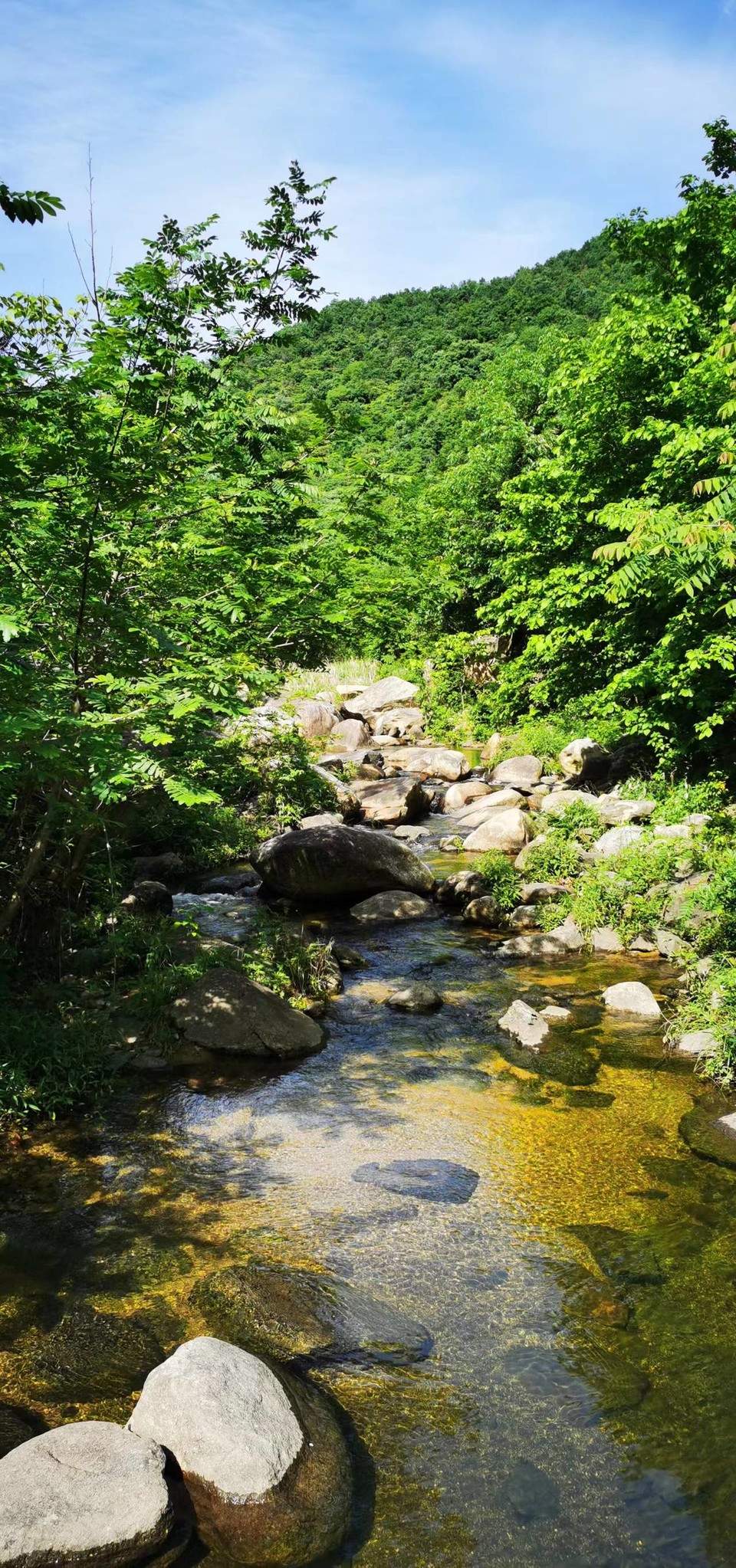 oV-hISshDXlrKx9AMvbv7WcKU1YW_lWiyZLD89-EJcYmhFbcG5wHewt1INPrMeSK