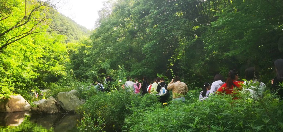 oV-hISshDXlrKx9AMvbv7YiVUiaKrK-JtvkyiVmQuSMzpSrV9NwfpwP1HmbIM4SJ