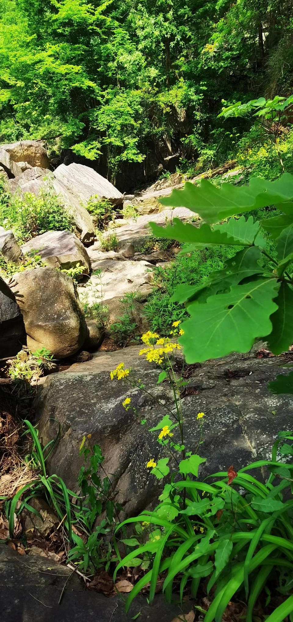 oV-hISshDXlrKx9AMvbv7aDKIfyl_s322A2Qhy4ED_Zsv_UtVNmqQ4_XHJN0iDVZ