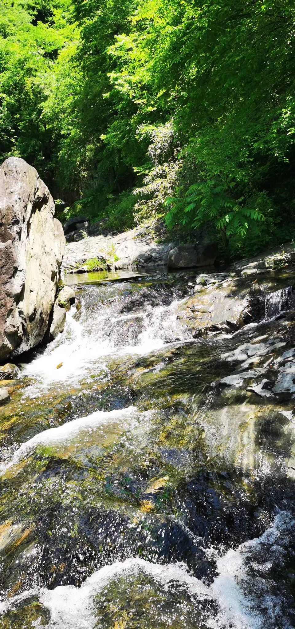 oV-hISshDXlrKx9AMvbv7VHF8g0stIKh58sKni91dSKAMHCErTjrMBaFCKLXExyc