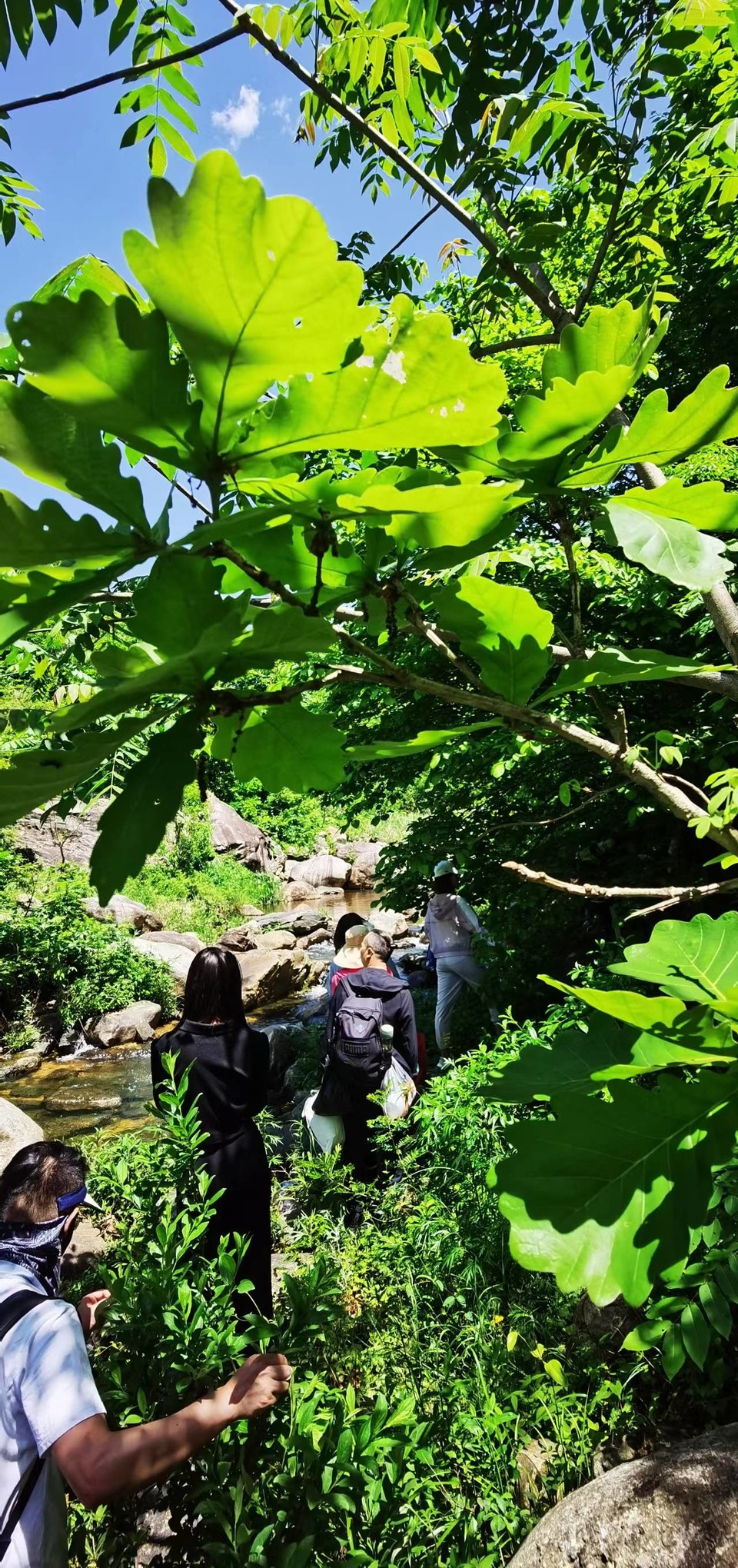 G8I6R2UAXVrfXuHsuCRsifJTRWvSiwnW3Tx3h2IxR6qW5nK9zLUepmRd-3lWs0jG