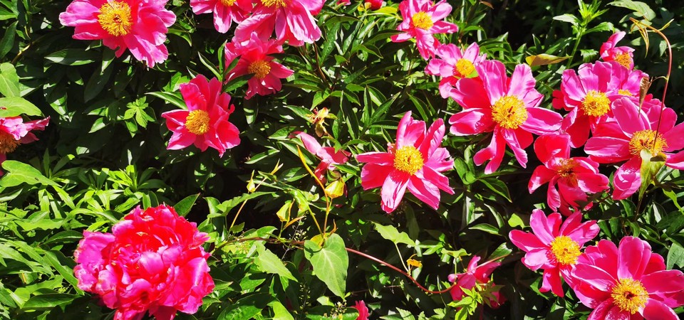 G8I6R2UAXVrfXuHsuCRsieDl7oJWBPz4TBtT3xk-H9-aODxy0s7zI2QkCmFydNoO