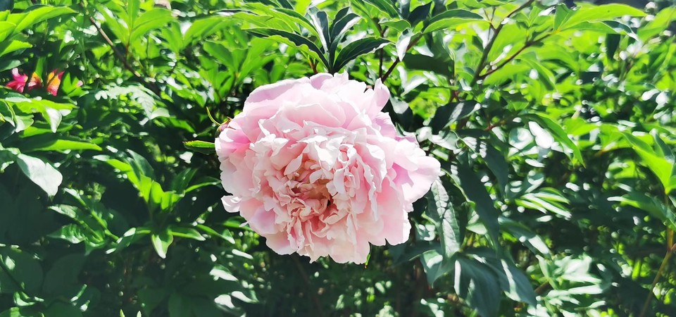 G8I6R2UAXVrfXuHsuCRsiaEKcAOh9z3E2euChSoJCS9SXfcOGDb5KDOl0tFVgUrz