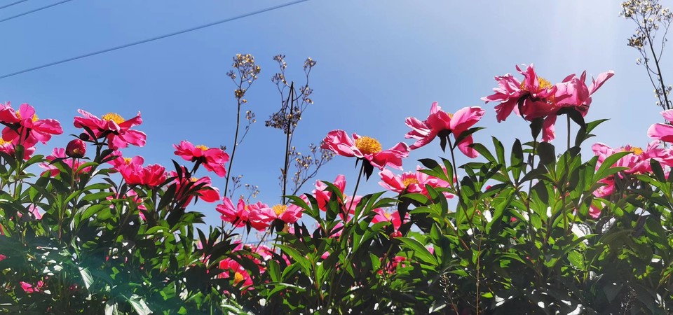 G8I6R2UAXVrfXuHsuCRsiTHv0B38sy038clVi_uJFKCf5tYjsAqp2Y-QIok5hdxw