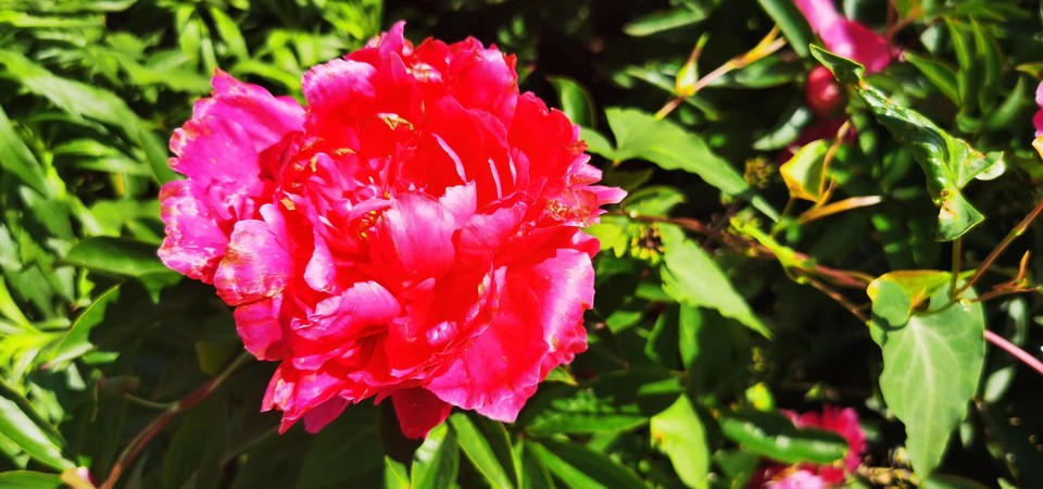 G8I6R2UAXVrfXuHsuCRsib28cW4qyLuAxoStE4s0CfIa641KpWIsmB8xuGoGiAOs