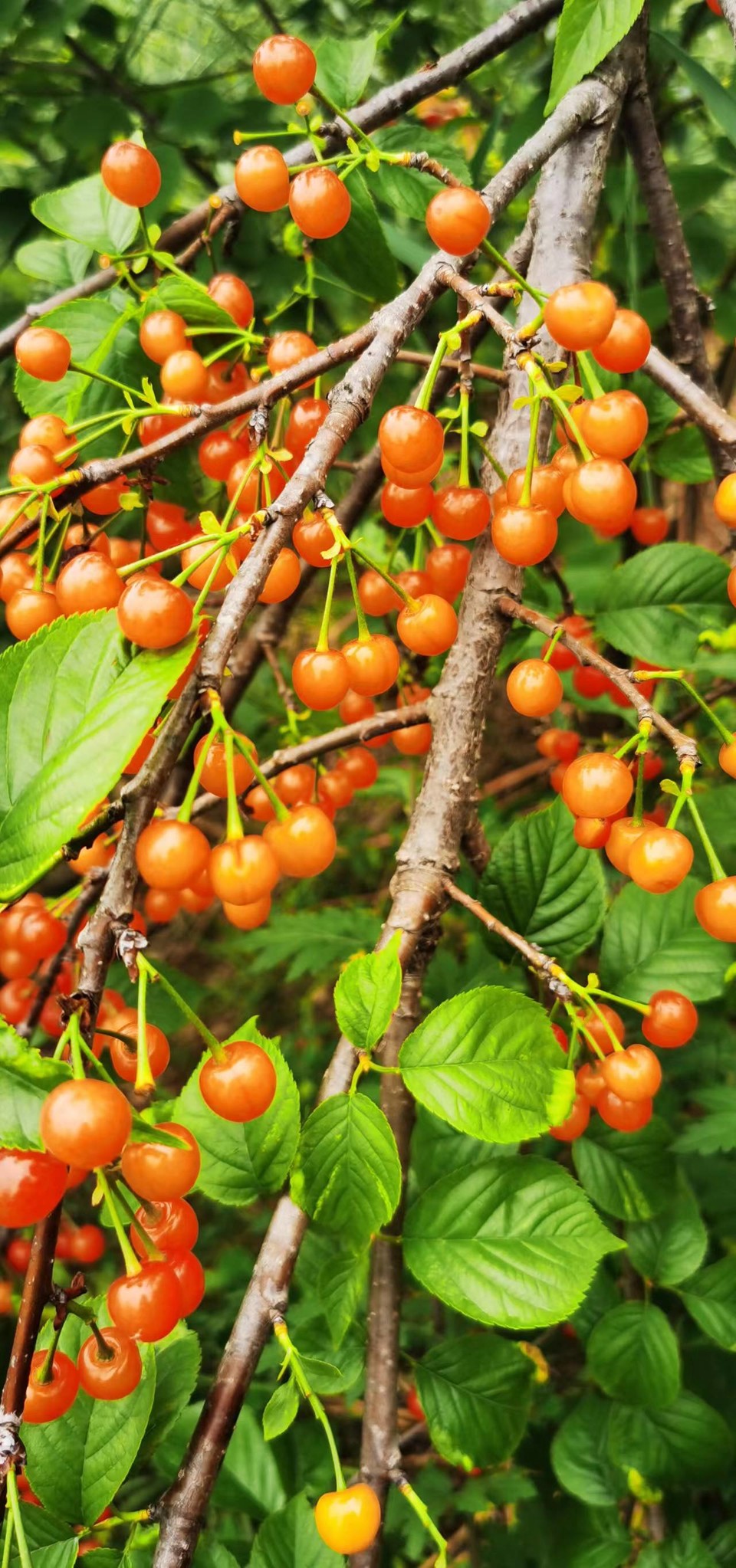 G8I6R2UAXVrfXuHsuCRsiVJHGBqEsiYfykFAvOHQKMILJ3WdXJE7iwNgQgLqZaNa