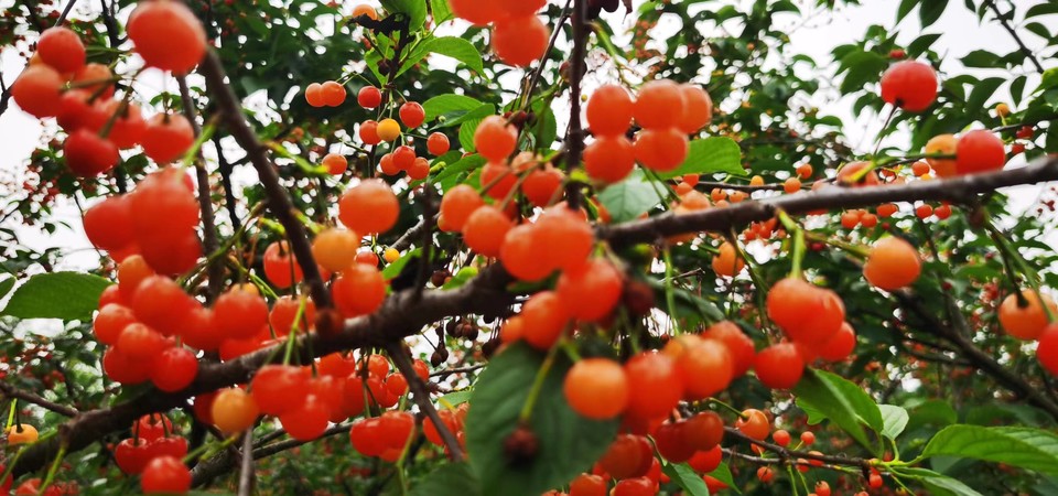 G8I6R2UAXVrfXuHsuCRsicj5h-8iMx9X9pZxNP3eoS_IOpZ57futN1bSQiSLKbLw