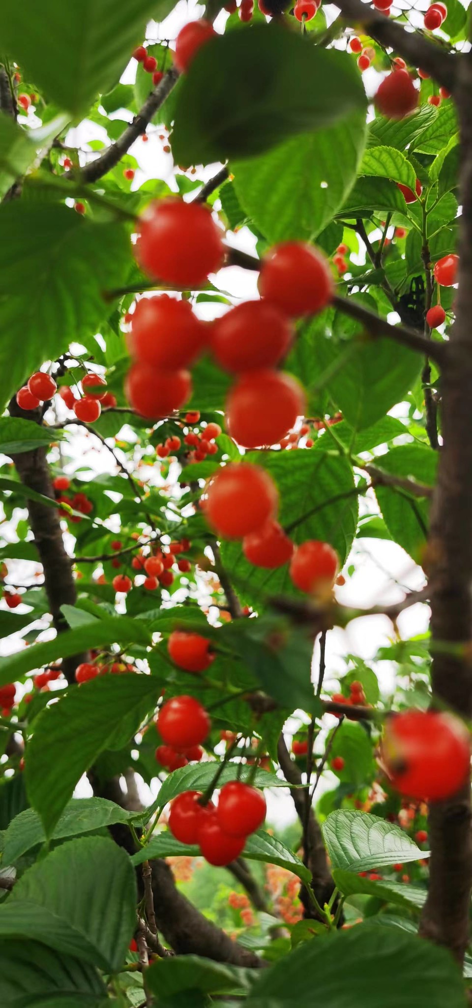 G8I6R2UAXVrfXuHsuCRsiQnp0OGY9dm6ORfopVfJ1utIgga8Vav-0DxUNbf7DtOZ