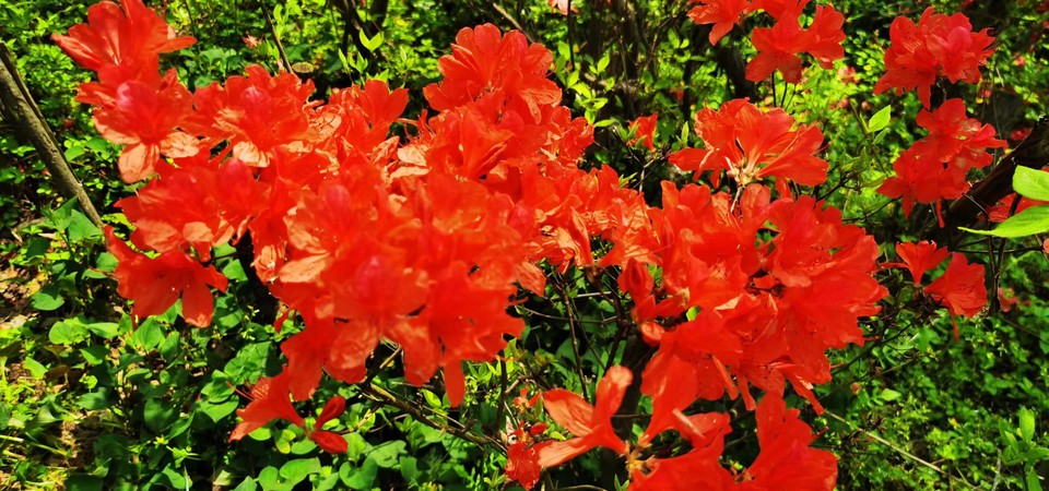 G8I6R2UAXVrfXuHsuCRsiQRtKEsNaV6-9fVb-LXxx3GswJ2OZg_x-OQwf47VNYdc