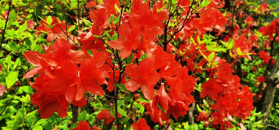 G8I6R2UAXVrfXuHsuCRsiTwMmYMq4mIVE_ZQ5Mu0DDSa5eUepGEv8gYPt0zk0Rzy