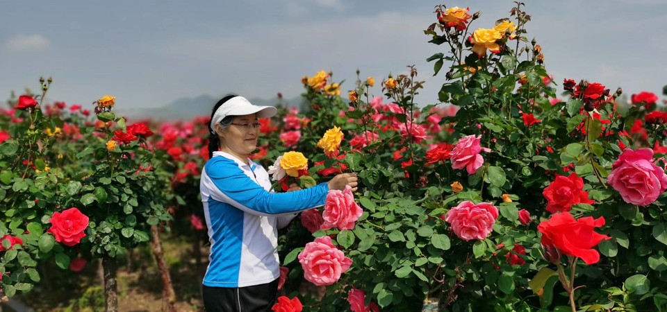 G8I6R2UAXVrfXuHsuCRsicggABNoaAStROfI1e10OGrW08Y_dqzd5ii-lWeRe0Ij