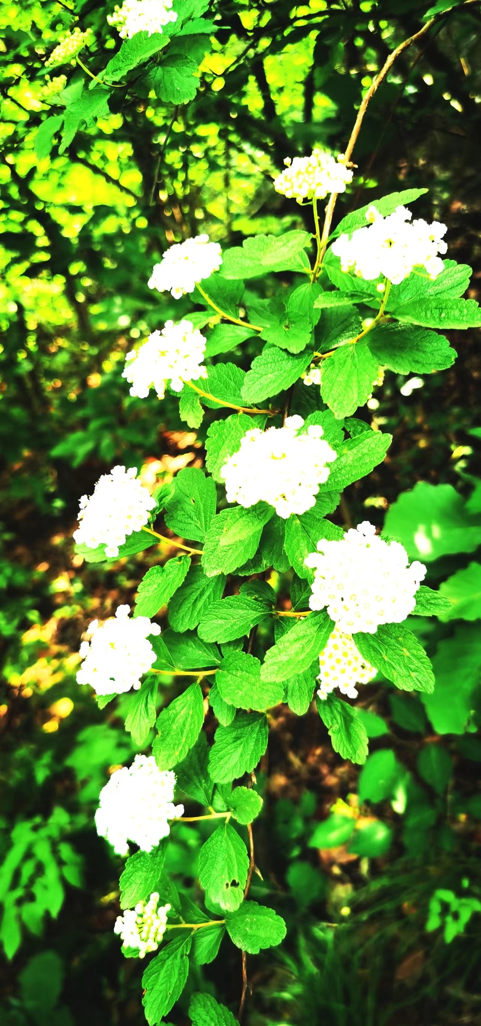 G8I6R2UAXVrfXuHsuCRsiXJ6QpV-f7v4utnczfS87XXzfB8OpheKlf3S8wrpCqFm