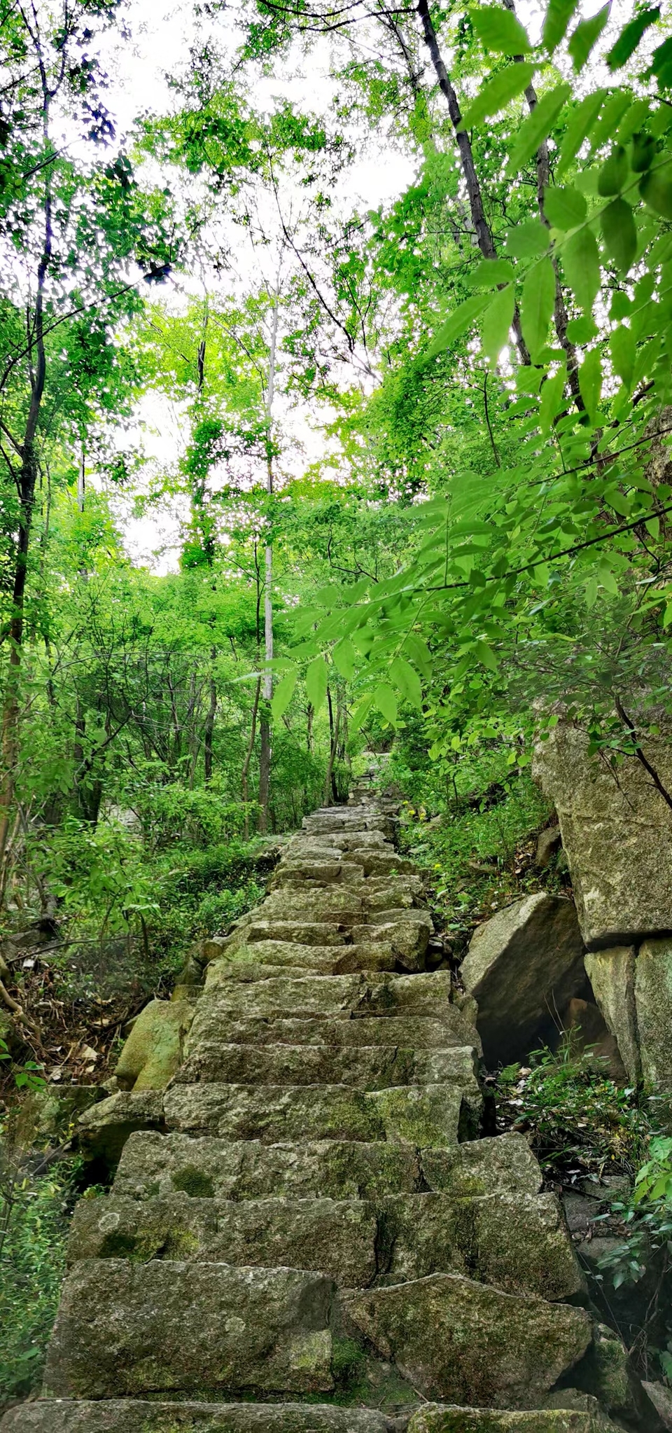 G8I6R2UAXVrfXuHsuCRsiYntKIX2zNA0Os0jqRY6NN3BQB-CA__TWwiyYuLJ2Aqw