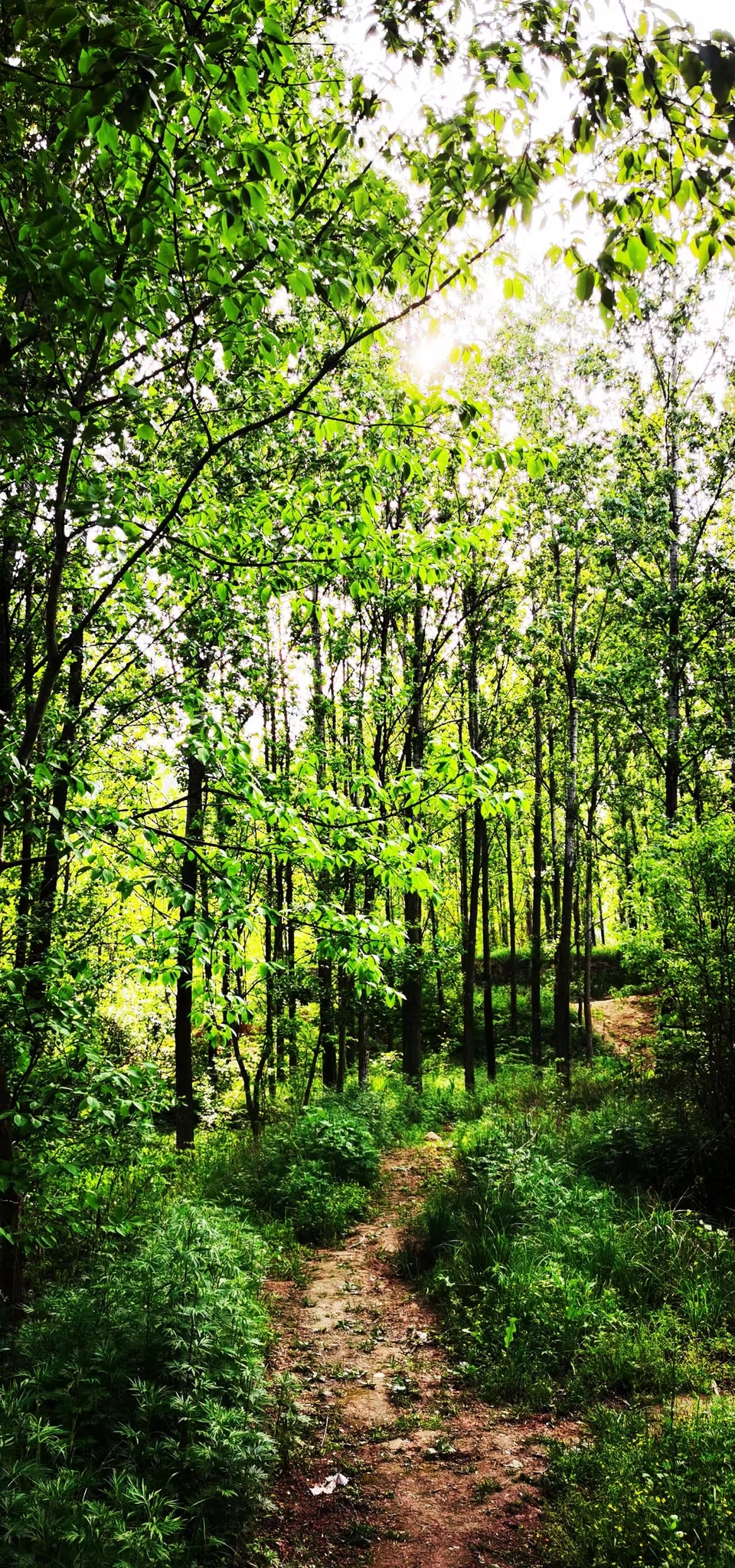 UbJZL1cSzGorgJ-3HwGbZIqw_Q-hzzScCOD3YD-JEl5VQBRNJvS5gPcMyBZ8s5WX