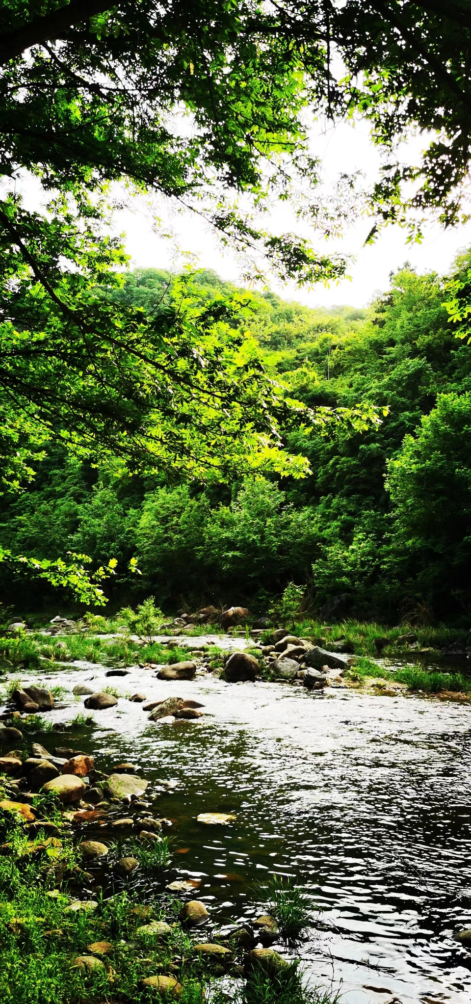 UbJZL1cSzGorgJ-3HwGbZG-lAFIGz2Zdj2ugTBskBEoZftDGTaWSs-IXriDMyk1w