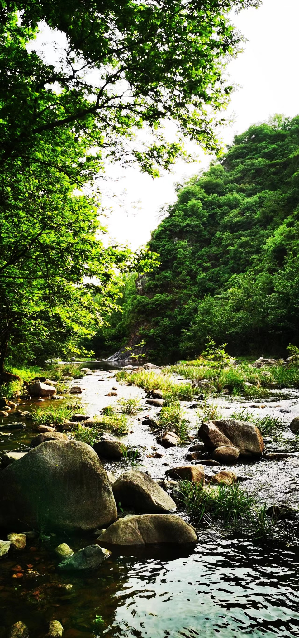 UbJZL1cSzGorgJ-3HwGbZBFbus2zhnMXQkrpOrreoVqGhr1rMauWcdQl5JB7M2-V