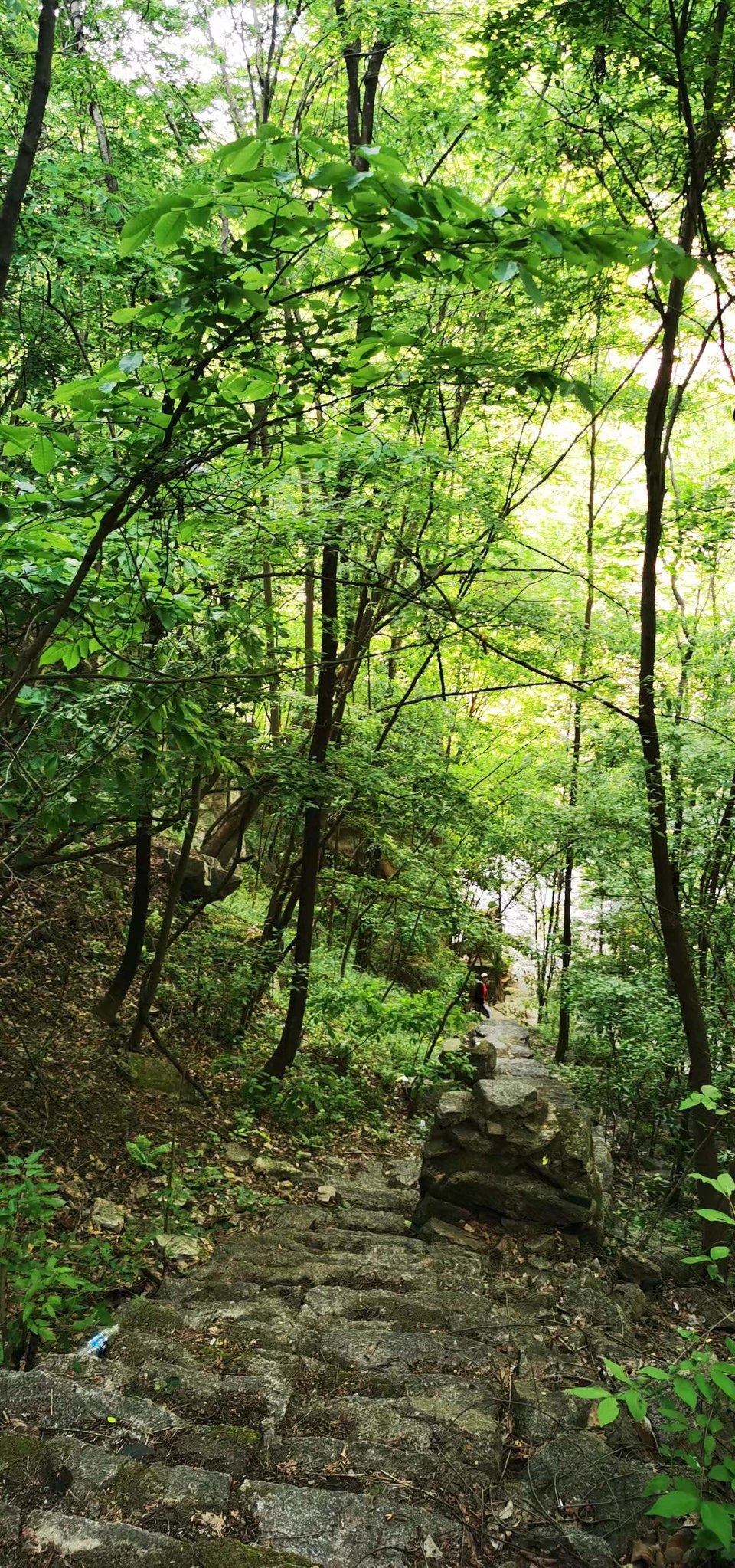 UbJZL1cSzGorgJ-3HwGbZGdYOuuPHHeN6p5_7uxyH8tEMNruGtZzqxDhMyMBvcMB