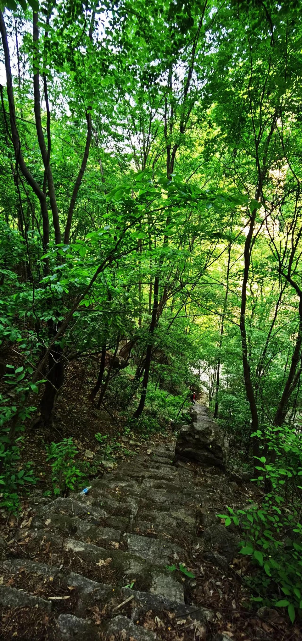 UbJZL1cSzGorgJ-3HwGbZHnlDQXjc9ijCzr0V4lHVwV-FMfC9u1_VFKiQpqf37CT