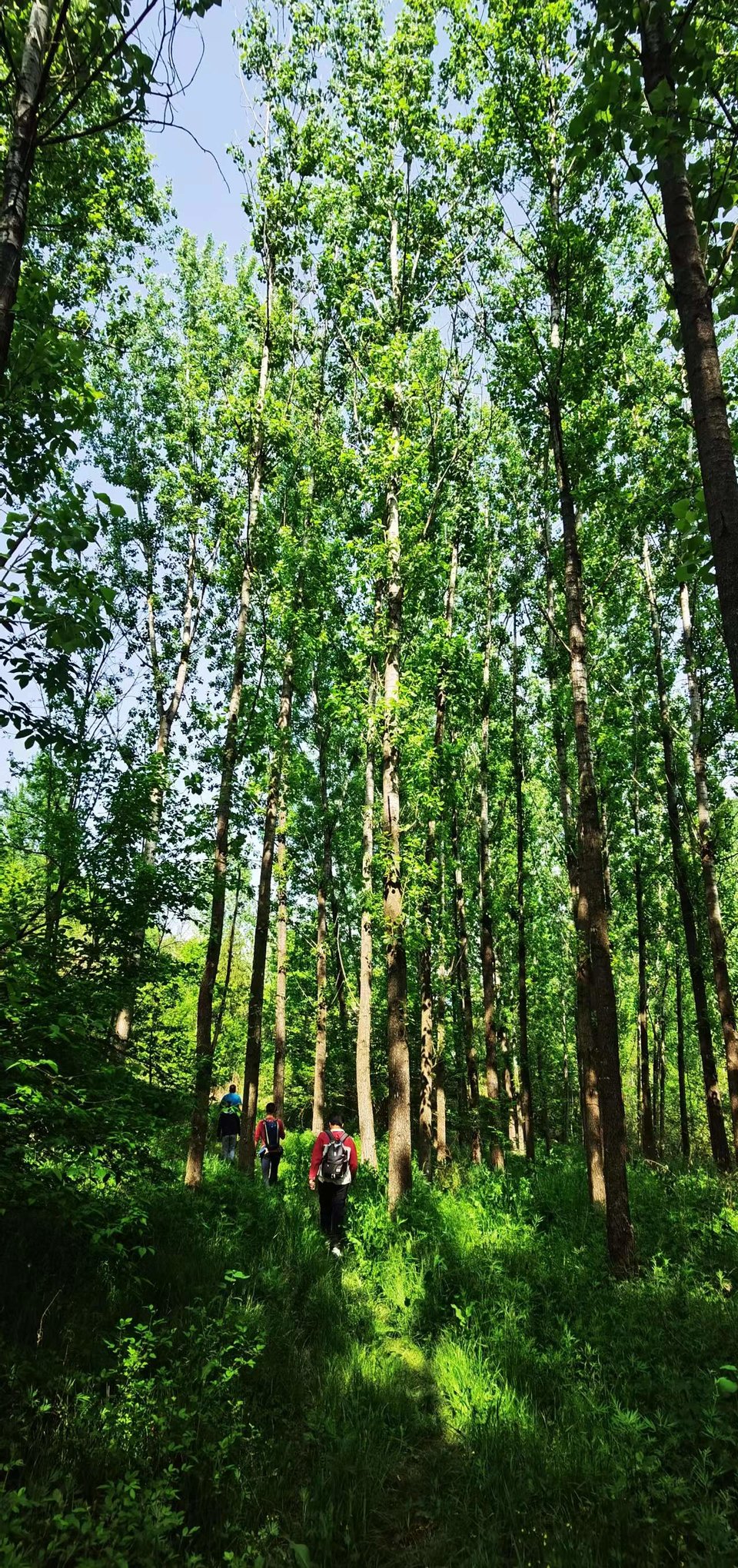 UbJZL1cSzGorgJ-3HwGbZPVEBgSXElrDkVGqdzn4JiH70-F34m0L9XDSnODJQgAb