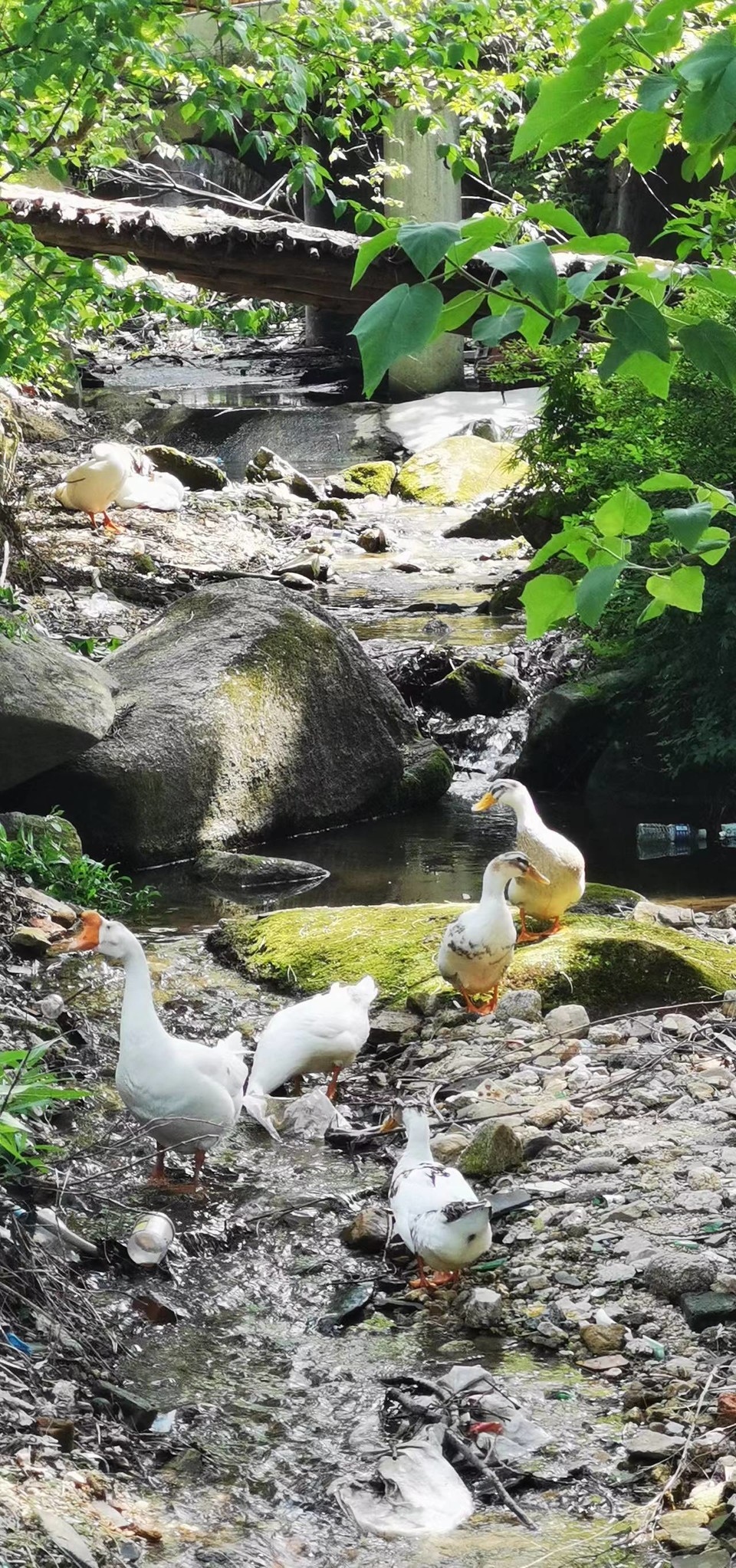 UbJZL1cSzGorgJ-3HwGbZDsd0Y7dvMg2ATXpRkOc3s1GsRReZXJTeccg6lAD6h54