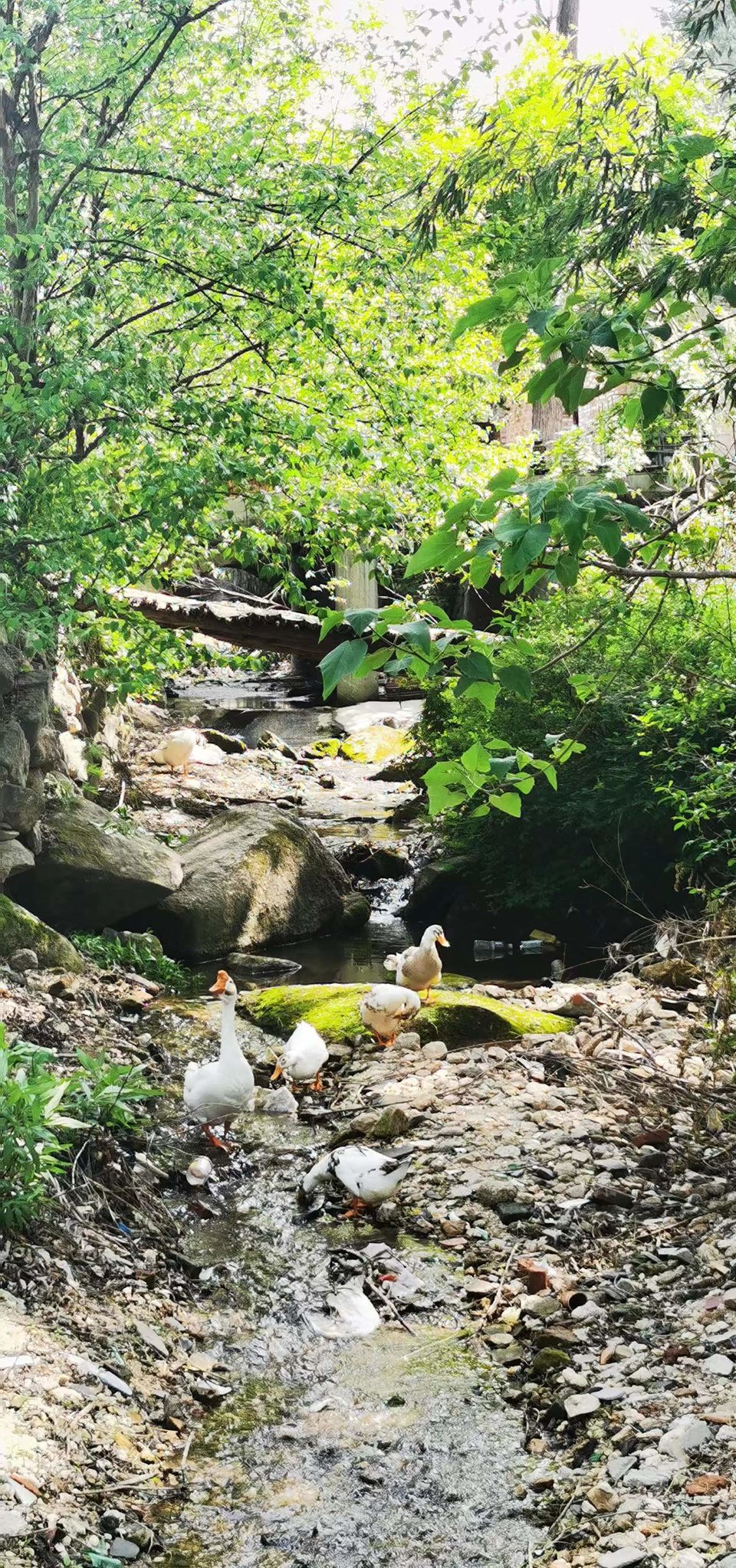 UbJZL1cSzGorgJ-3HwGbZEr23UeticwD-Q8voAm_TUmaTRRY6mEknfdfsU6njyvy