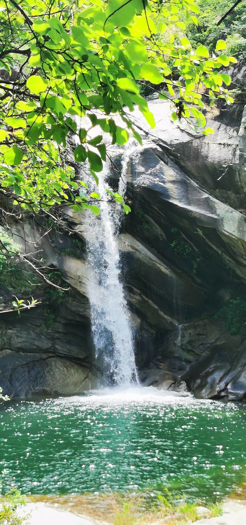 UbJZL1cSzGorgJ-3HwGbZDZepS0_4hAw5YcFWoy9Sc5O_keeKKFGq3OcrcbQGPMI