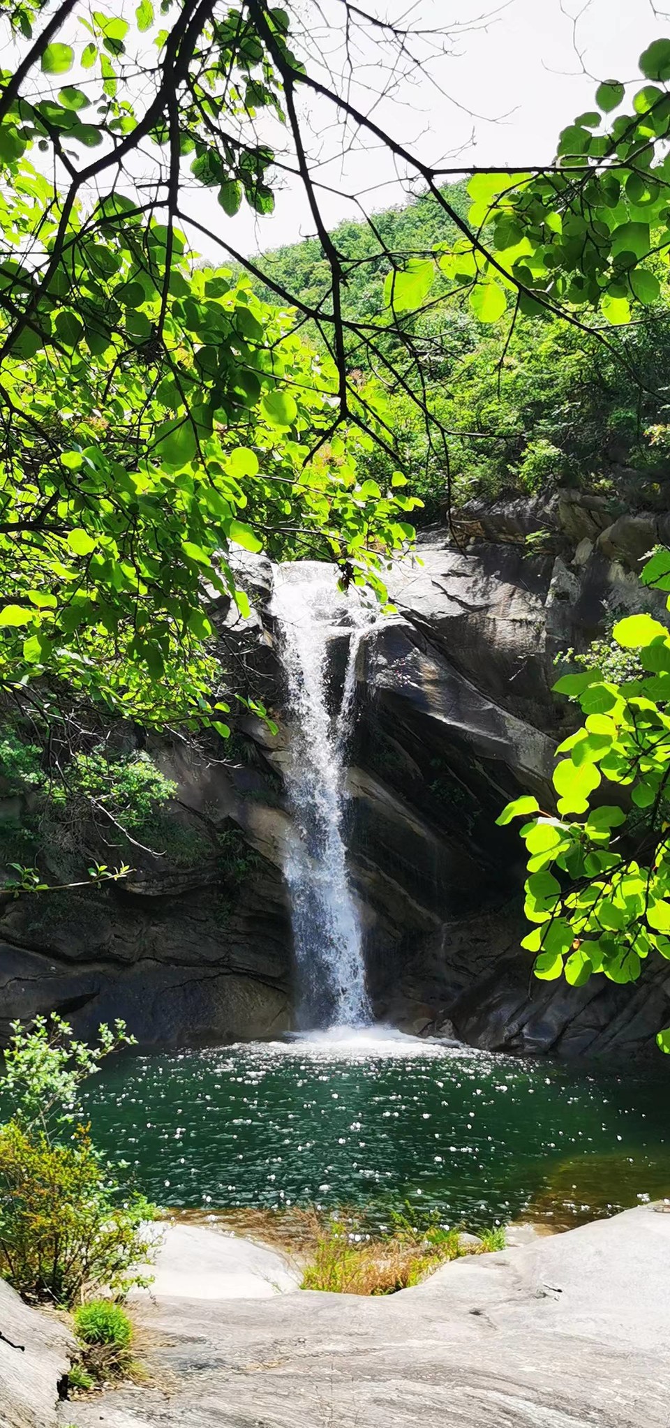 UbJZL1cSzGorgJ-3HwGbZDjSDVEmnUzTgFUJ9_US5TUA-wOgnX5NZVcIQds1k2Sa