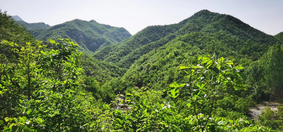 wmiD3Qjc3Ybf1CzqpOAMkTJWGH4VlJvYzE1xF_SpKhBxrgm5pHJcRHeANsnd9Mr8