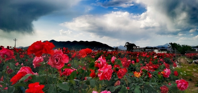 LoUQv8gX_uvn_HZL-NBONnd3NEn3DDx4u68id3T7L7tqQuQb2HmUTaq9fy2Y7sIM