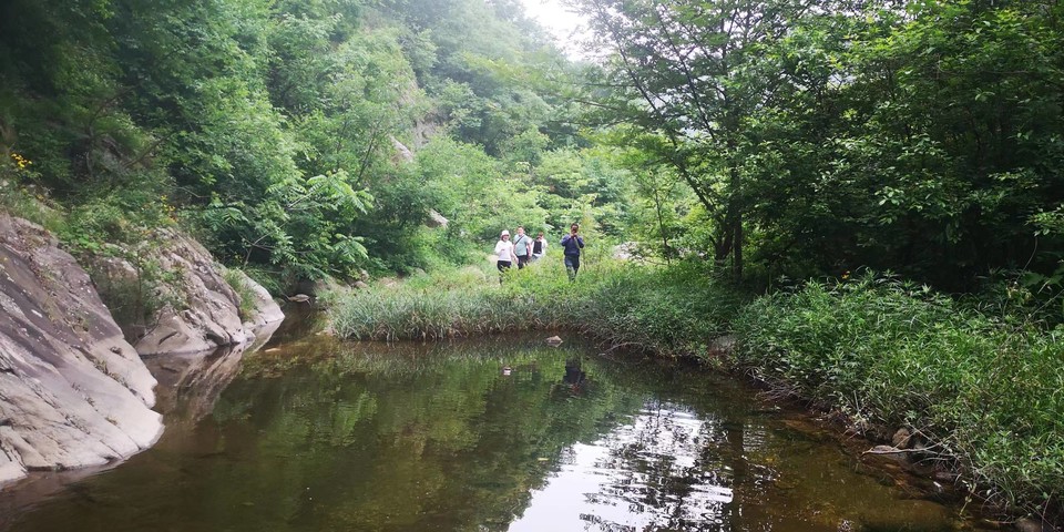 tTbbdn8A8gocgo0pYDP6IpLxmv7QmWwk8zqGbKtJbgNFICWmoSVVcBdxWFcmGxH7