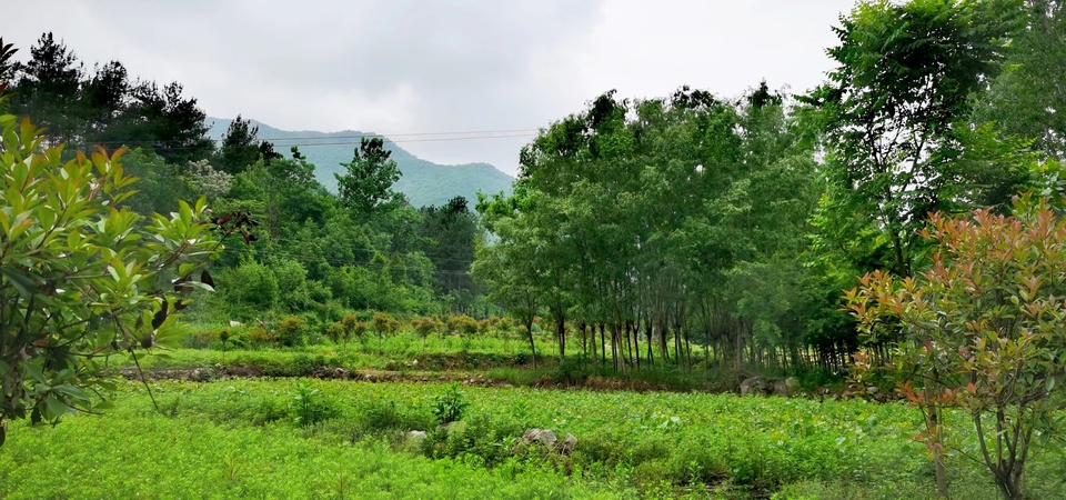 tTbbdn8A8gocgo0pYDP6Io4AGnjlDfGLDmCgT496jBHZkxOhts7z2xP897Q97dNP