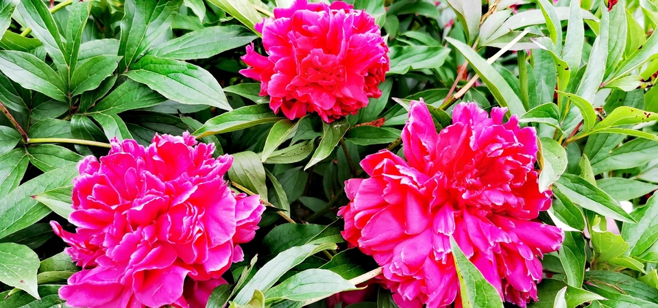 tTbbdn8A8gocgo0pYDP6IuVhsZWC-k84P9H-8qxu7YwLZ-ZM5AxI5jSW6ssDdpA7