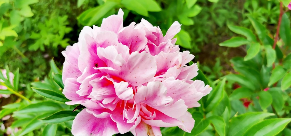 tTbbdn8A8gocgo0pYDP6Ihk9wBL1O03sWJsi6JKQlEksgBX7-h3gp_CwAQHblLmr