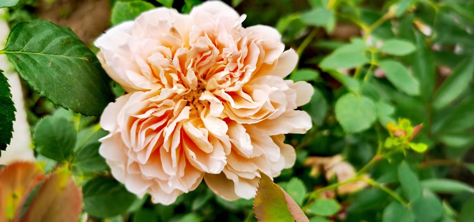 tTbbdn8A8gocgo0pYDP6IvN5yp8H7xN2sJUrPARN9sz09KHCJwMeHNsmcIubIqfU