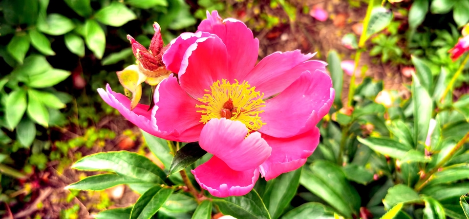 tTbbdn8A8gocgo0pYDP6IqPo3hKs8bJwd_EvEaogjbKkC2MUUQssUB6wSIZbF9EW