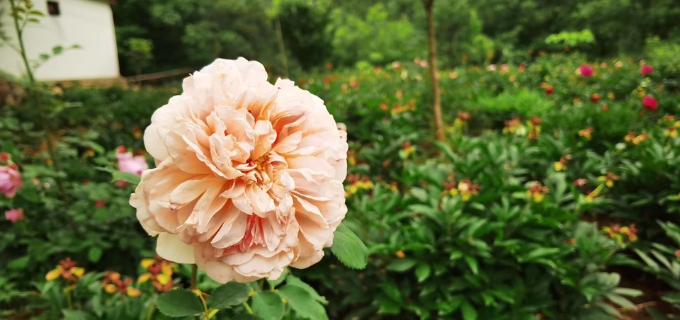 tTbbdn8A8gocgo0pYDP6Ir-IzR6DsuX1yViYP48BOBKJJY8bW3BqozMBVNQc8RPL