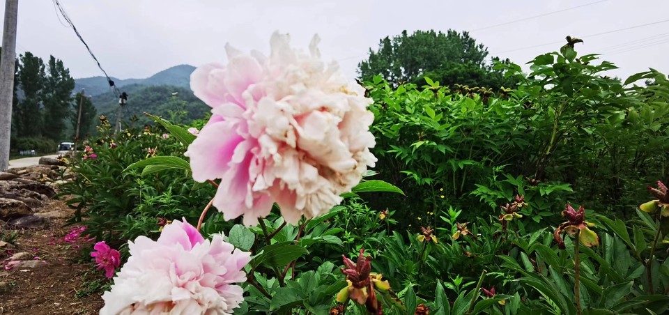 tTbbdn8A8gocgo0pYDP6IvvVqb-cqK9DX8SKMGj_YlAKgxoIWoitJQA0OHW_XZCO