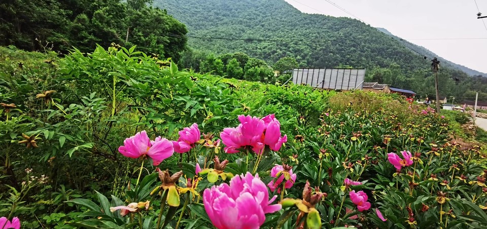 tTbbdn8A8gocgo0pYDP6IoA3K-RPVBOn6NSd-n_zFCq1ITcAFu7mDS6WLQUBiuiq