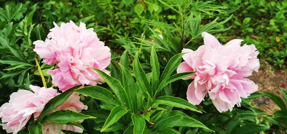 tTbbdn8A8gocgo0pYDP6IgJutJdUmQIwvpYCW5BeBM6DnlcvvI44tCUATBhxWsc4