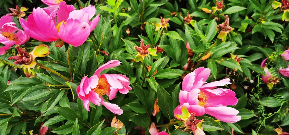 tTbbdn8A8gocgo0pYDP6IuF05BAzzt7I2OV7qtNHcMG7WtJqzdAu0oRR1t_vJDZk