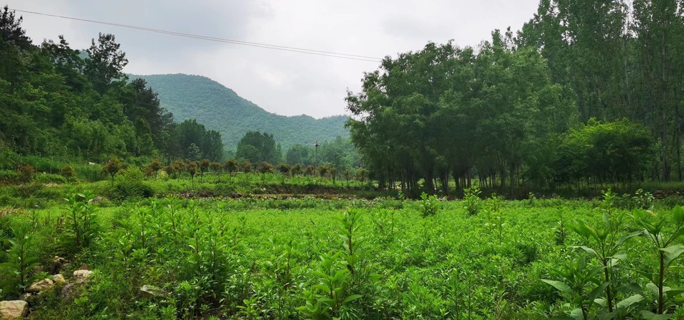 tTbbdn8A8gocgo0pYDP6IjIojswM85k9VzteT90P0BveutxjJrgcMfvra99bUG7d