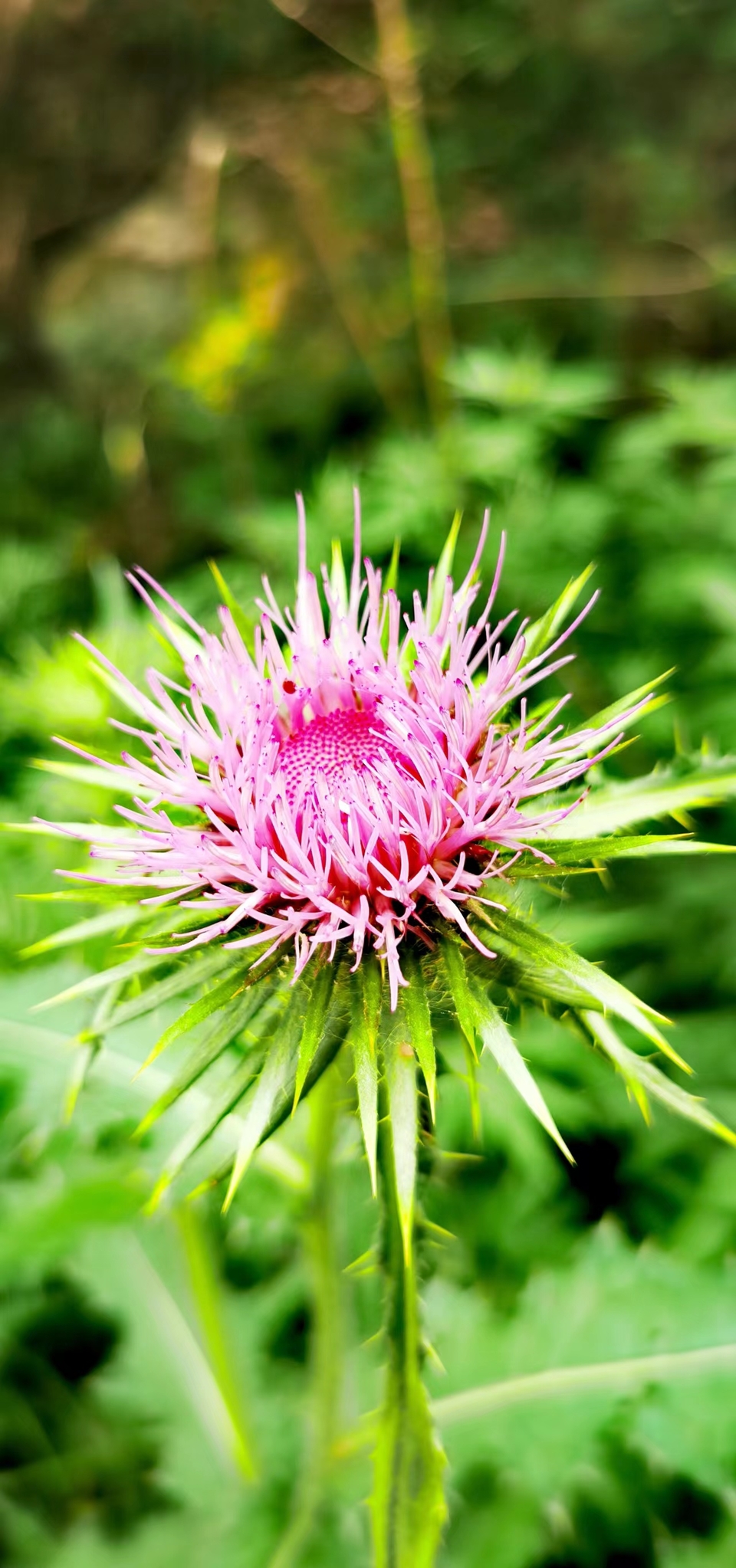 H29kuDg-GTEI_9HE9KtZa6TavWt1e7YrmUE3rMqbxHEIh8RqX9DZHFcnoTDWXLy0