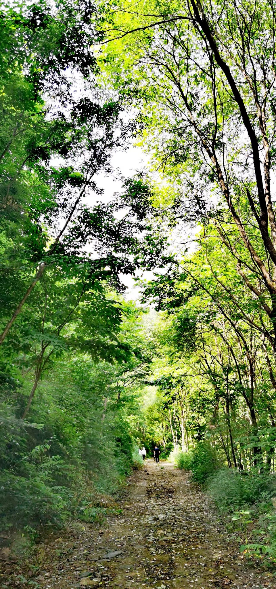 H29kuDg-GTEI_9HE9KtZa-qOt3G6XD1_upBr4KxGn7vgJPOV9bCys0eGuddR3oPE