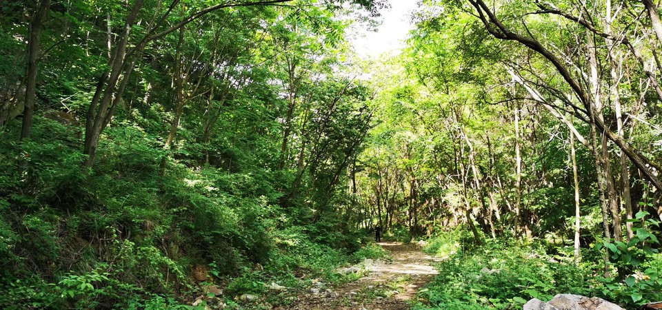 ncQgxe9Ji1OjmSm_Xr3sudnb3ryyW-bXneFbyukcja6IsPqBkPuJ3ehiYsxqBEOD