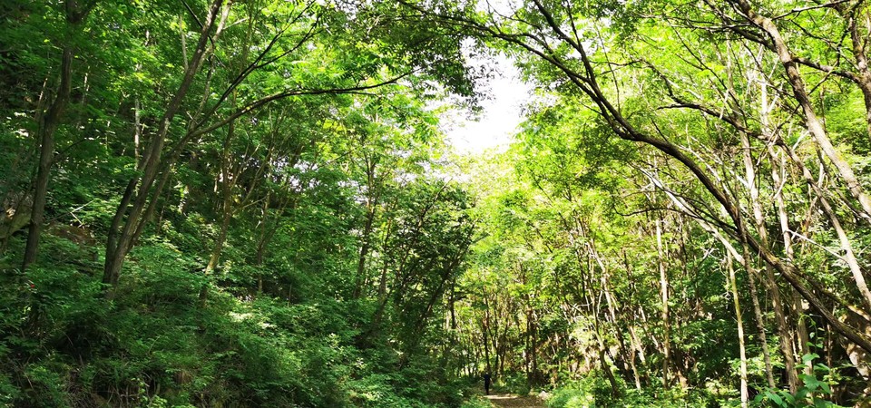 ncQgxe9Ji1OjmSm_Xr3suWqLqIARY9RIDJx0cxXmP96w_HUWqOfI28fi3fOq1EU4