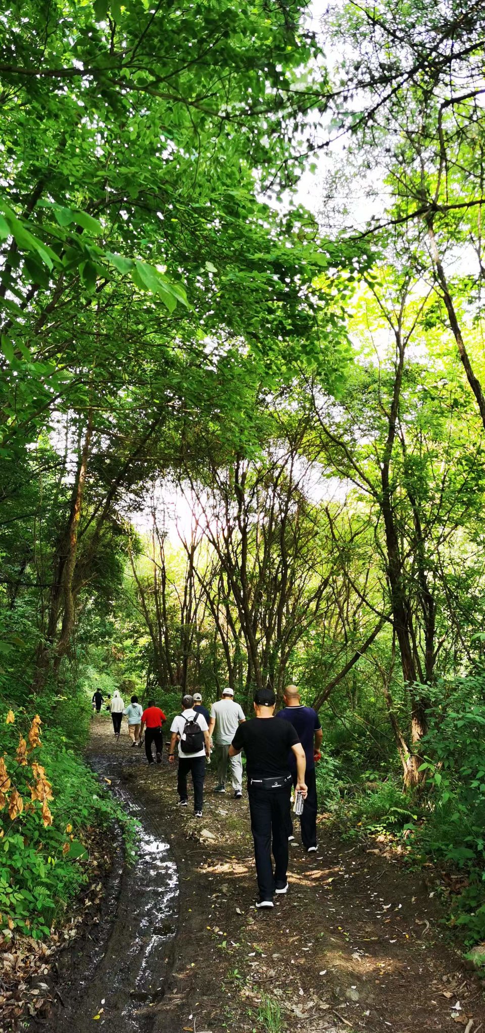 ncQgxe9Ji1OjmSm_Xr3suecoVSR1rwASMbzCKdvhWpuOKmHt8HAuZi_nAJQofepd